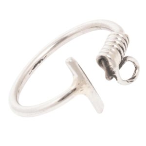 Alternative view of Anillo Alpaca