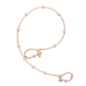 Cuenta Ganado Economico